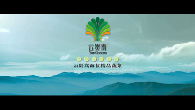 云贵青蔬菜15秒